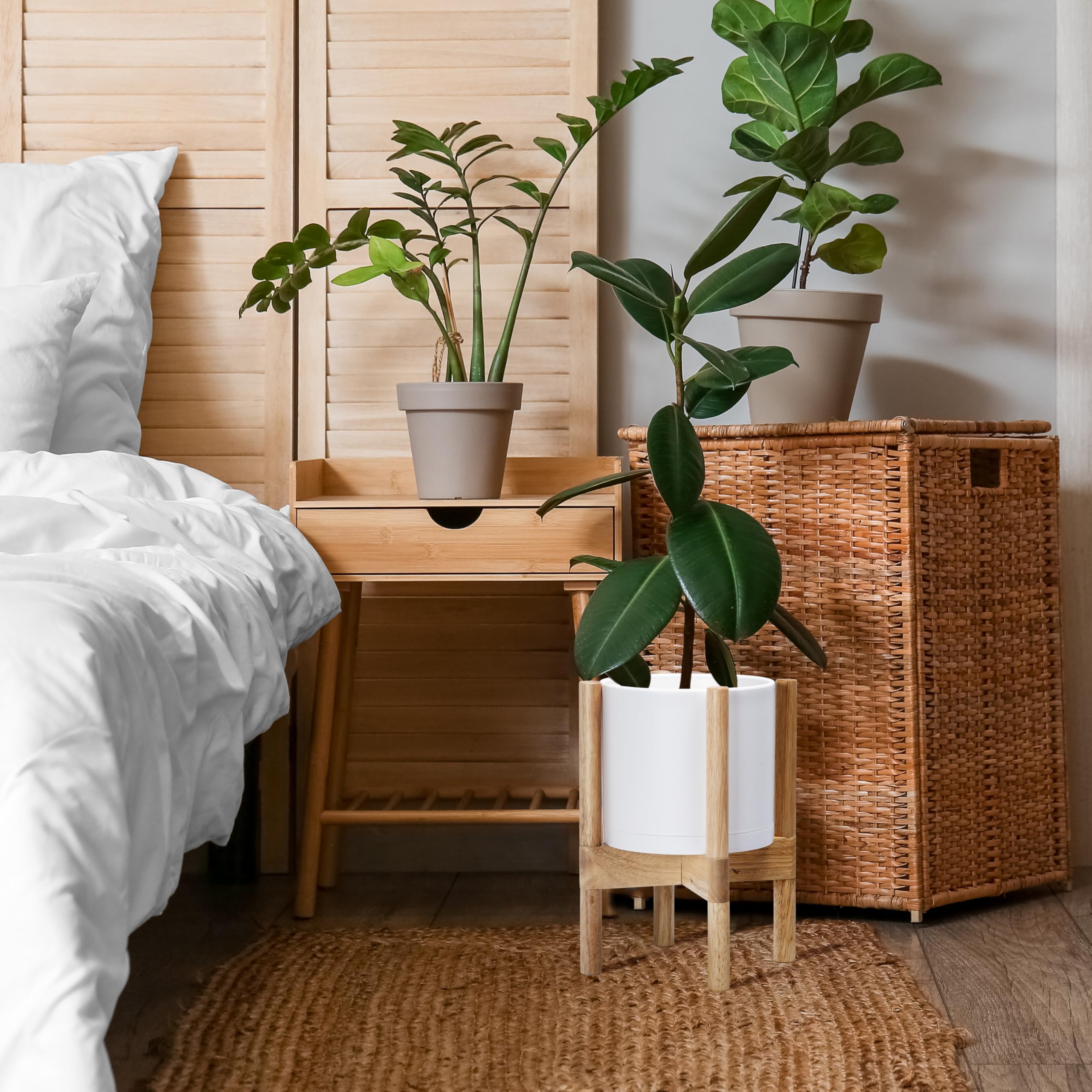 Dvine Dev indoor plant display with matte white pot and natural stand.