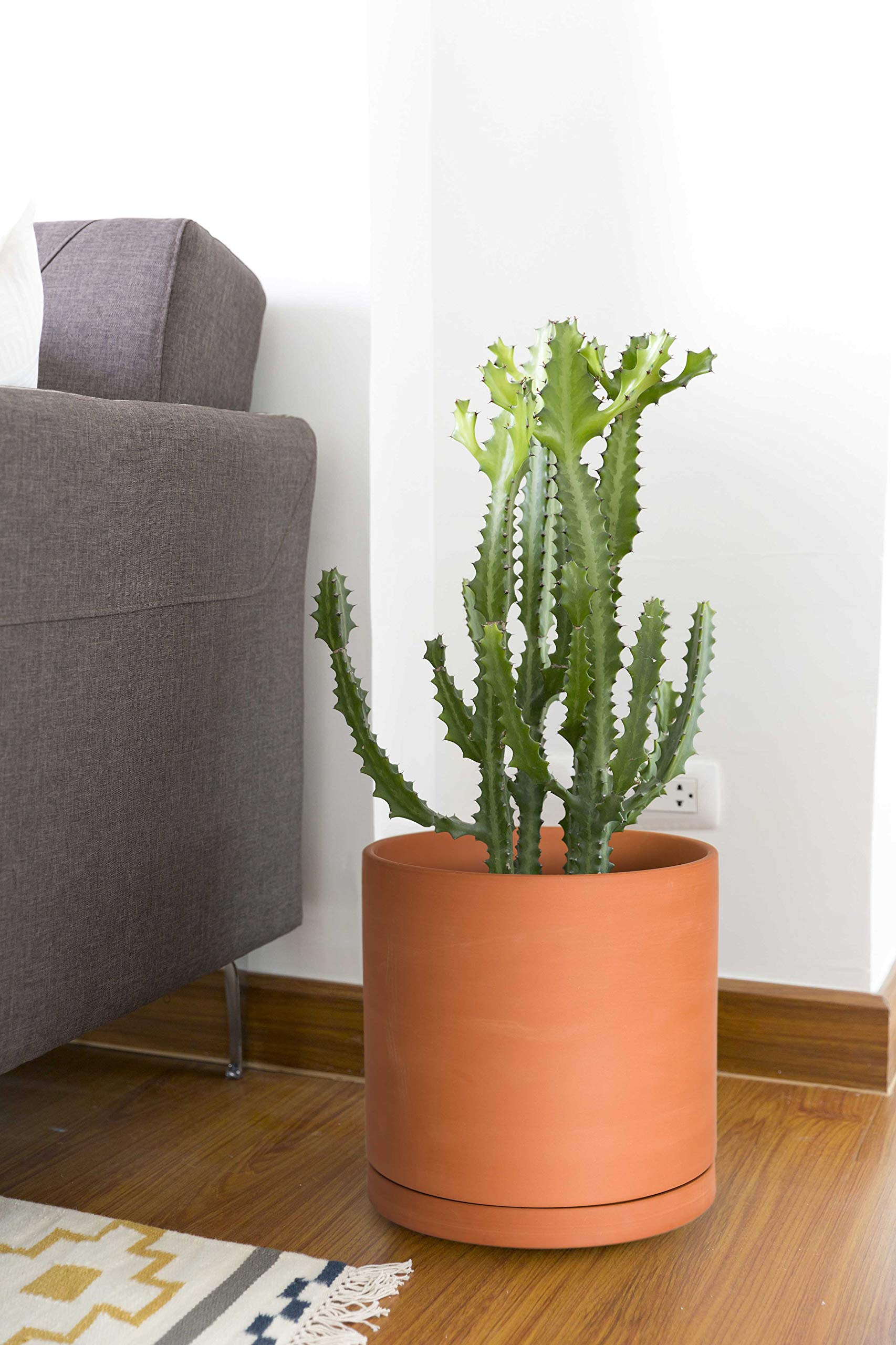 D'vine Dev large indoor planter with drain hole enables proper watering routine.