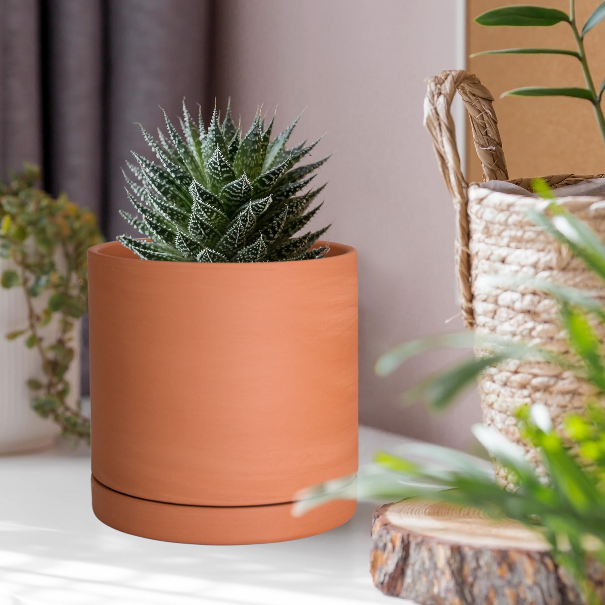 D'vine Dev indoor plant setup featuring a compact round cylinder planter.