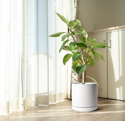 D'vine Dev indoor planter in white complements contemporary interiors.