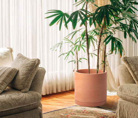 D'vine Dev X-Large plant pot with 12 inch dimensions for indoor use.