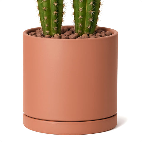 D'vine Dev large terracotta pot with drainage hole supports healthy indoor plant care.