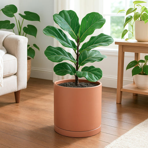 D'vine Dev round cylinder planter with saucer protects tabletops from water damage.