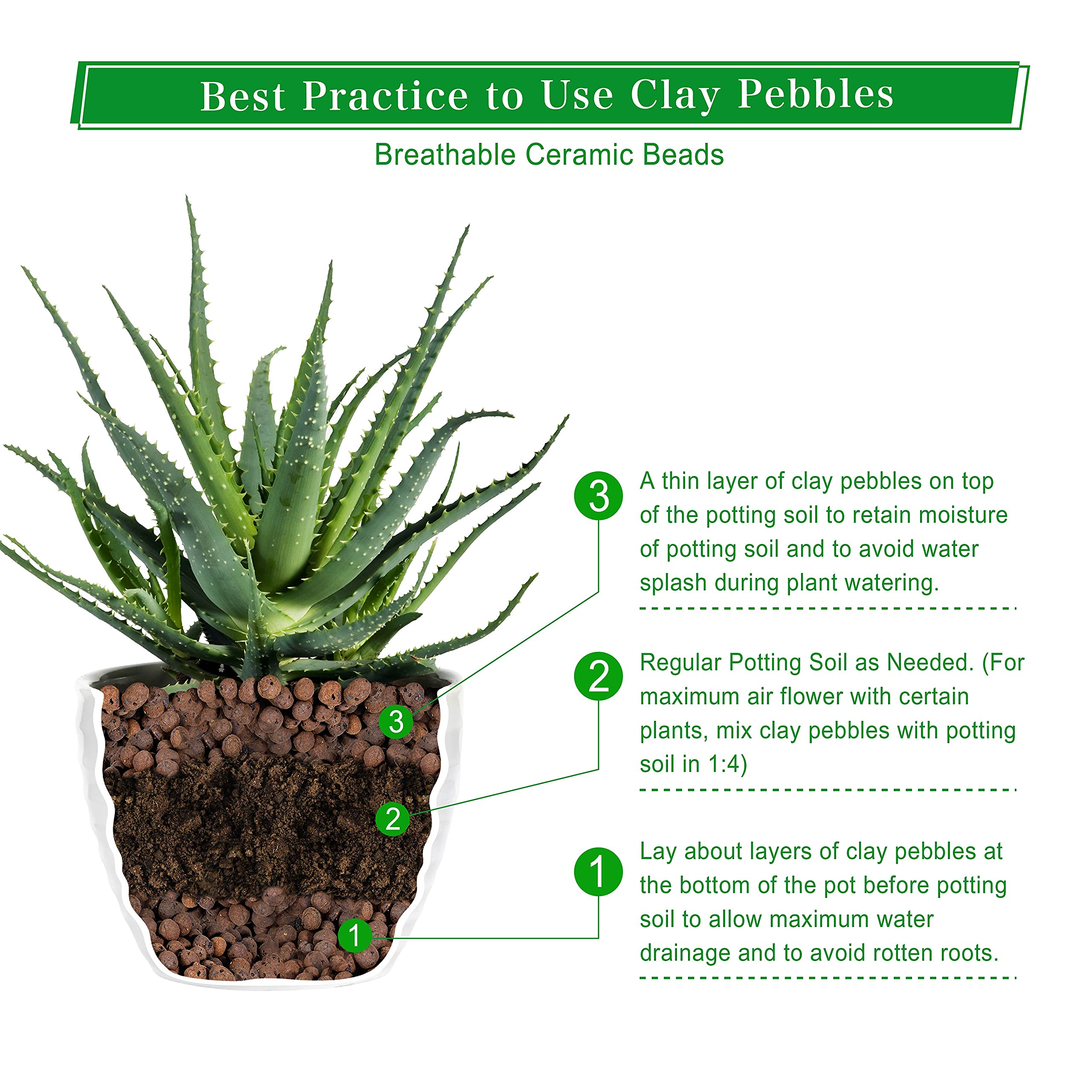 D'vine Dev leca base layer in a pot promoting improved drainage