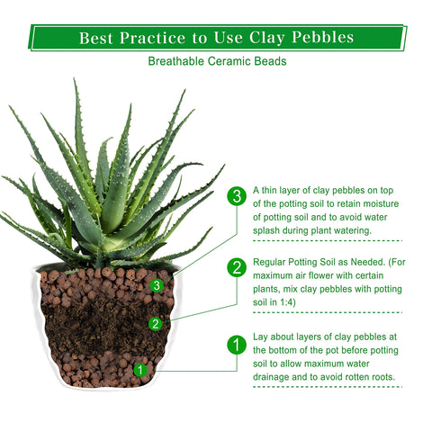 D'vine Dev leca base layer in a pot promoting improved drainage