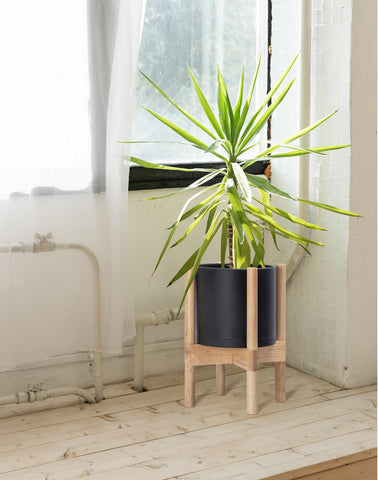 D'vine Dev cylinder-shaped 8-inch pot with matte finish for real or faux plants.