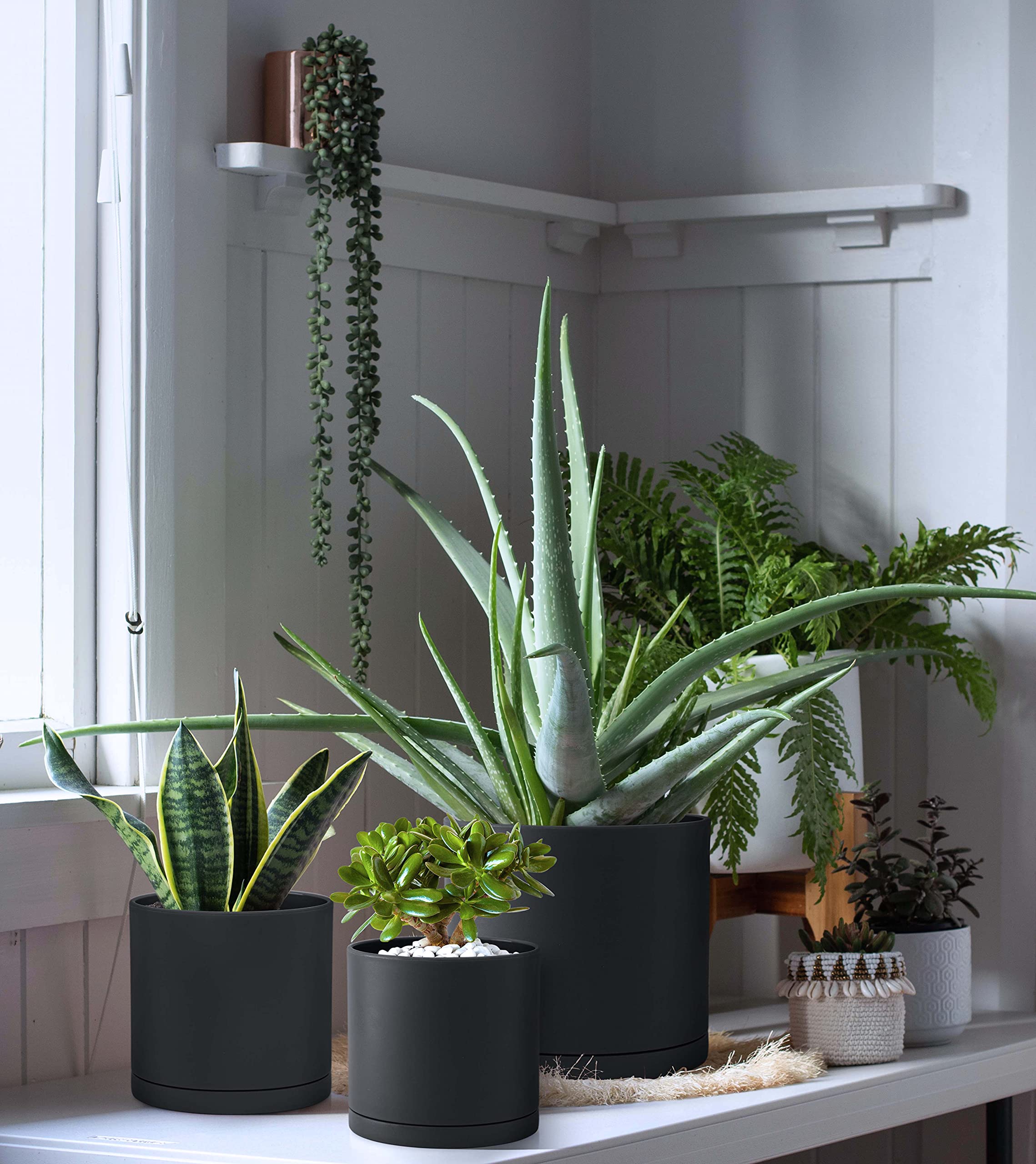 D'vine Dev matte finish closeup on durable plastic planter
