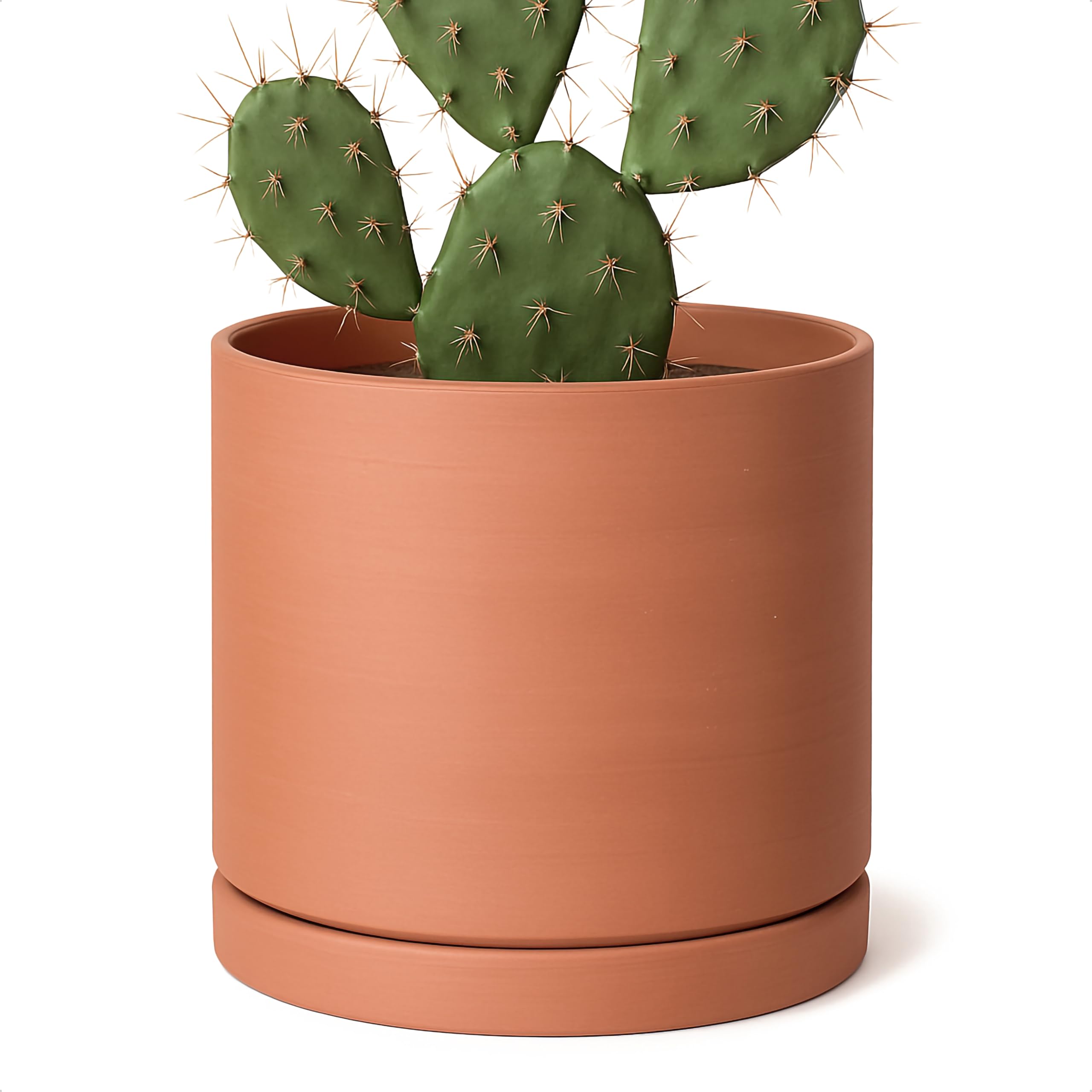 D'vine Dev medium terracotta pot with drainage hole for healthy indoor plants.