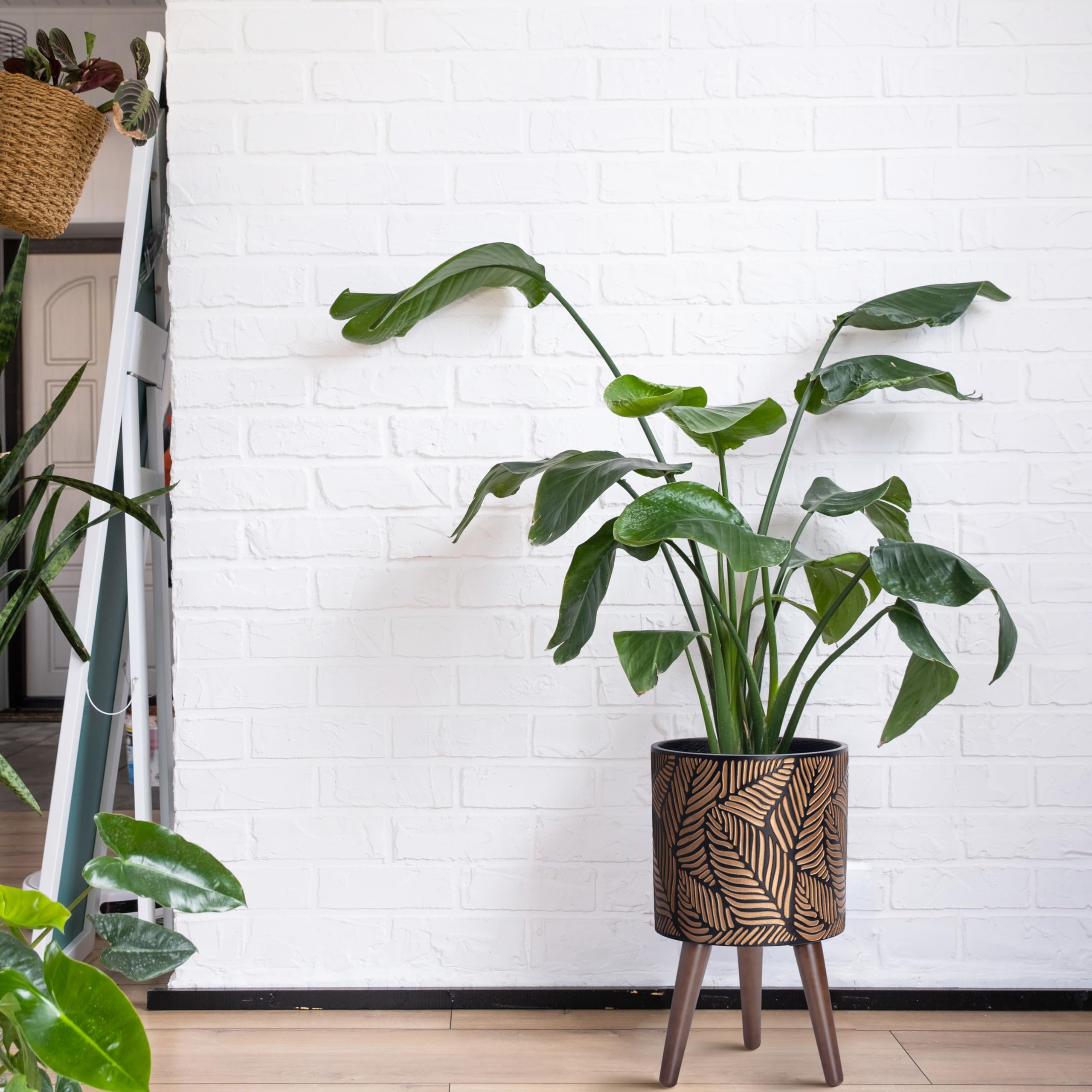 D'vine Dev wooden legs provide stable height for stylish plant presentations