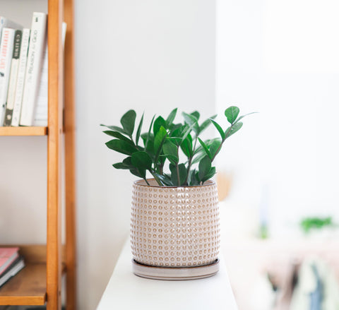 D'vine Dev minimalist beaded design adds modern home décor appeal.