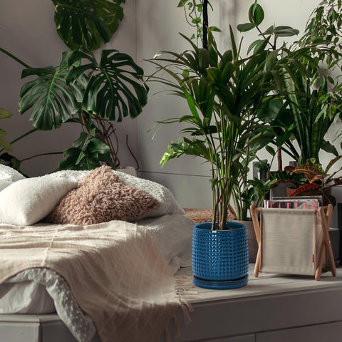 D'vine Dev minimalist beaded design enhances modern interior decor