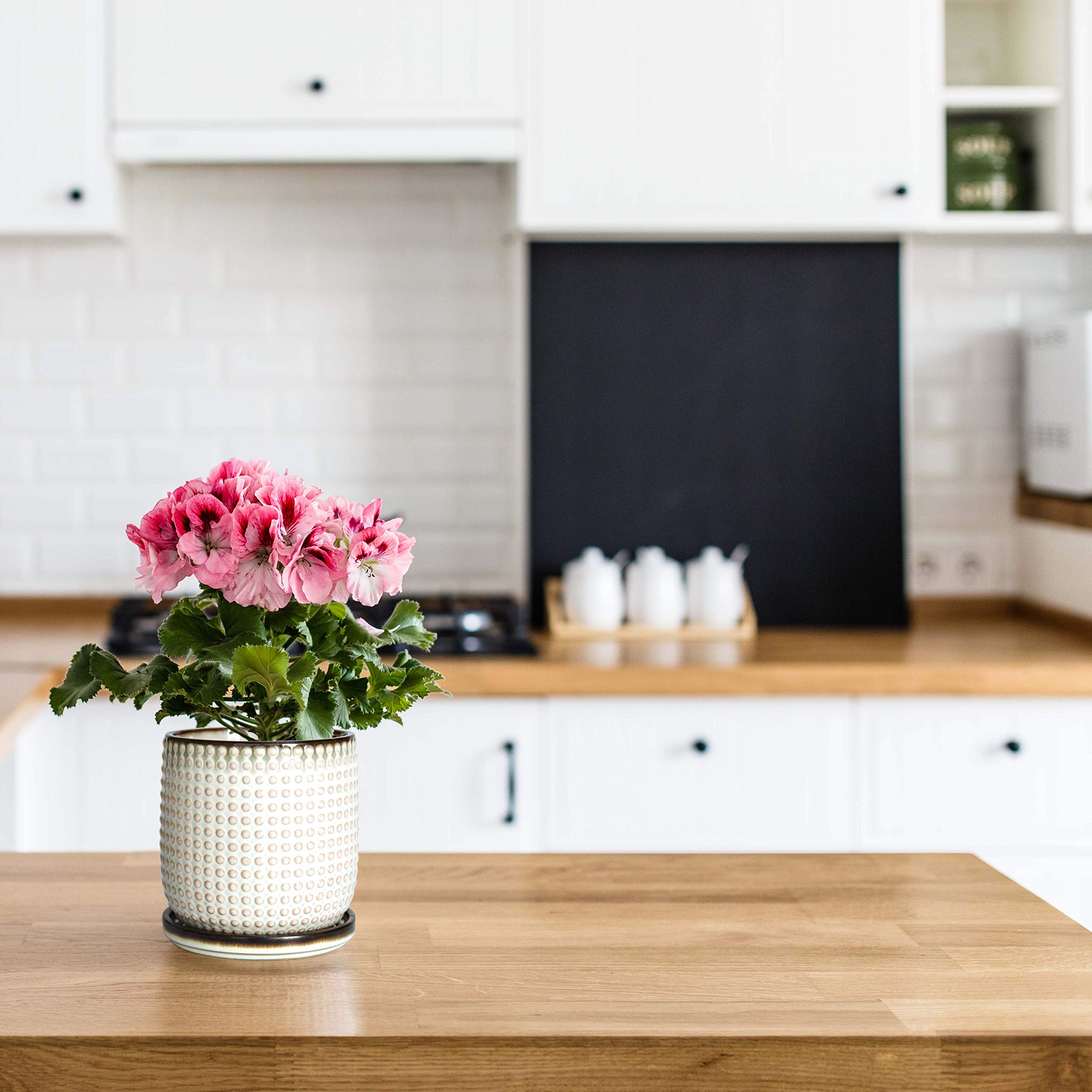 D'vine Dev minimalist design enhances shelves and desks.