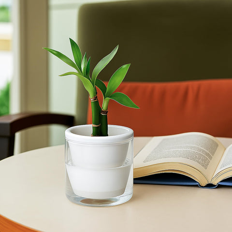 Minimalist design to fit contemporary decor and small spaces.