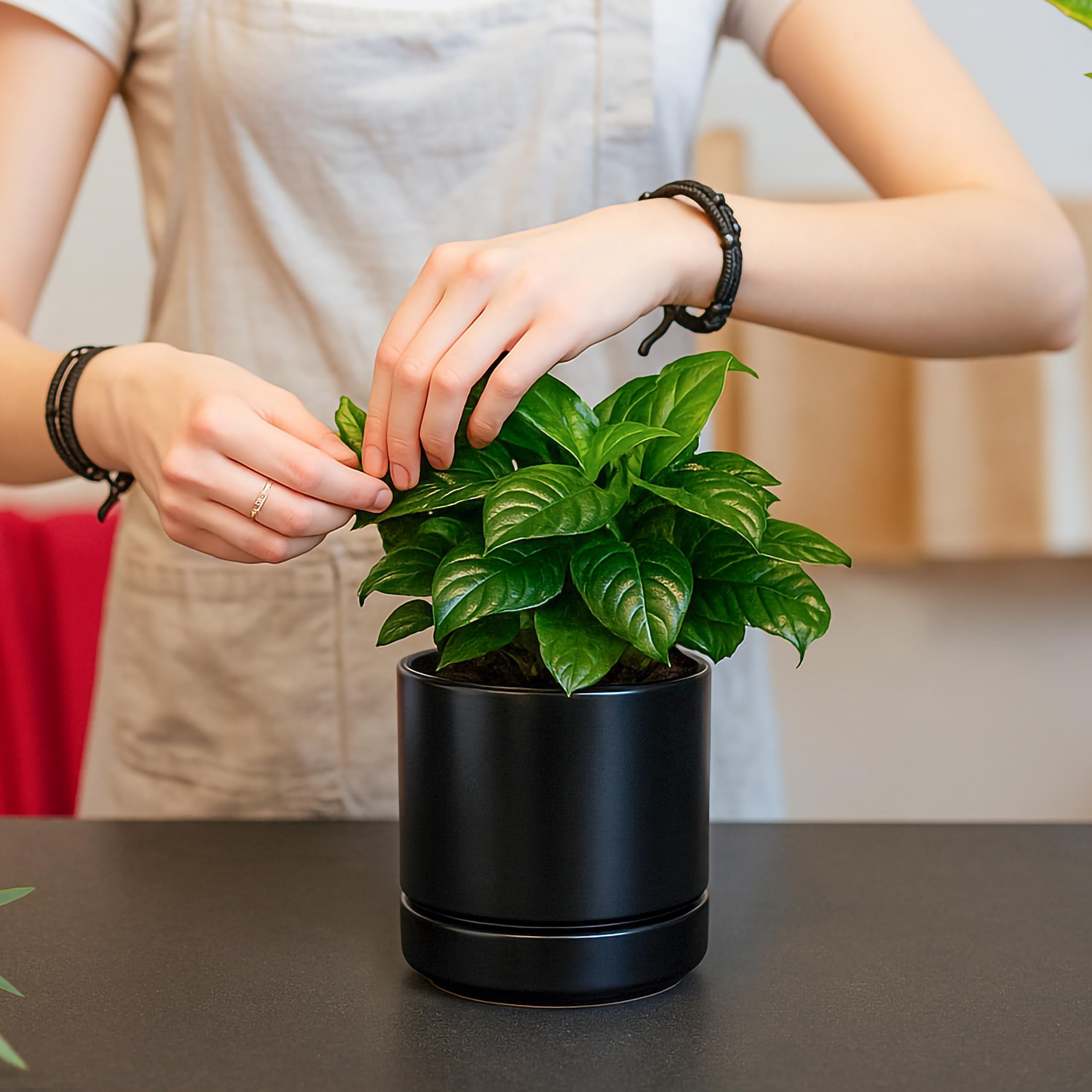 D'vine Dev minimalist round planter complements modern desks and shelves