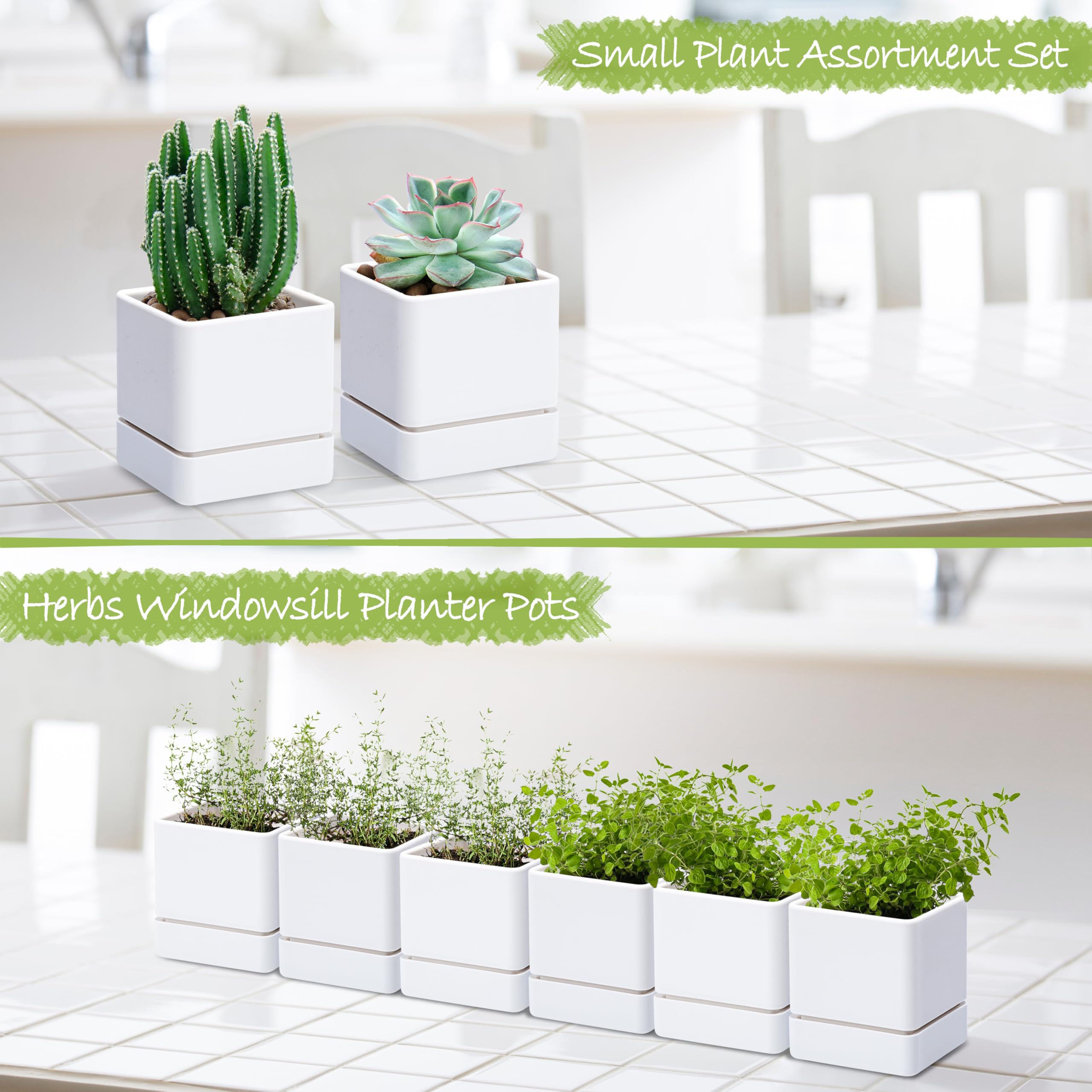 D'vine Dev minimalist white design complements any modern interior.