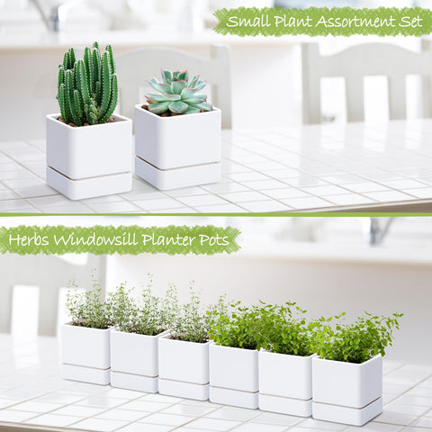 D'vine Dev minimalist white design complements any modern interior.