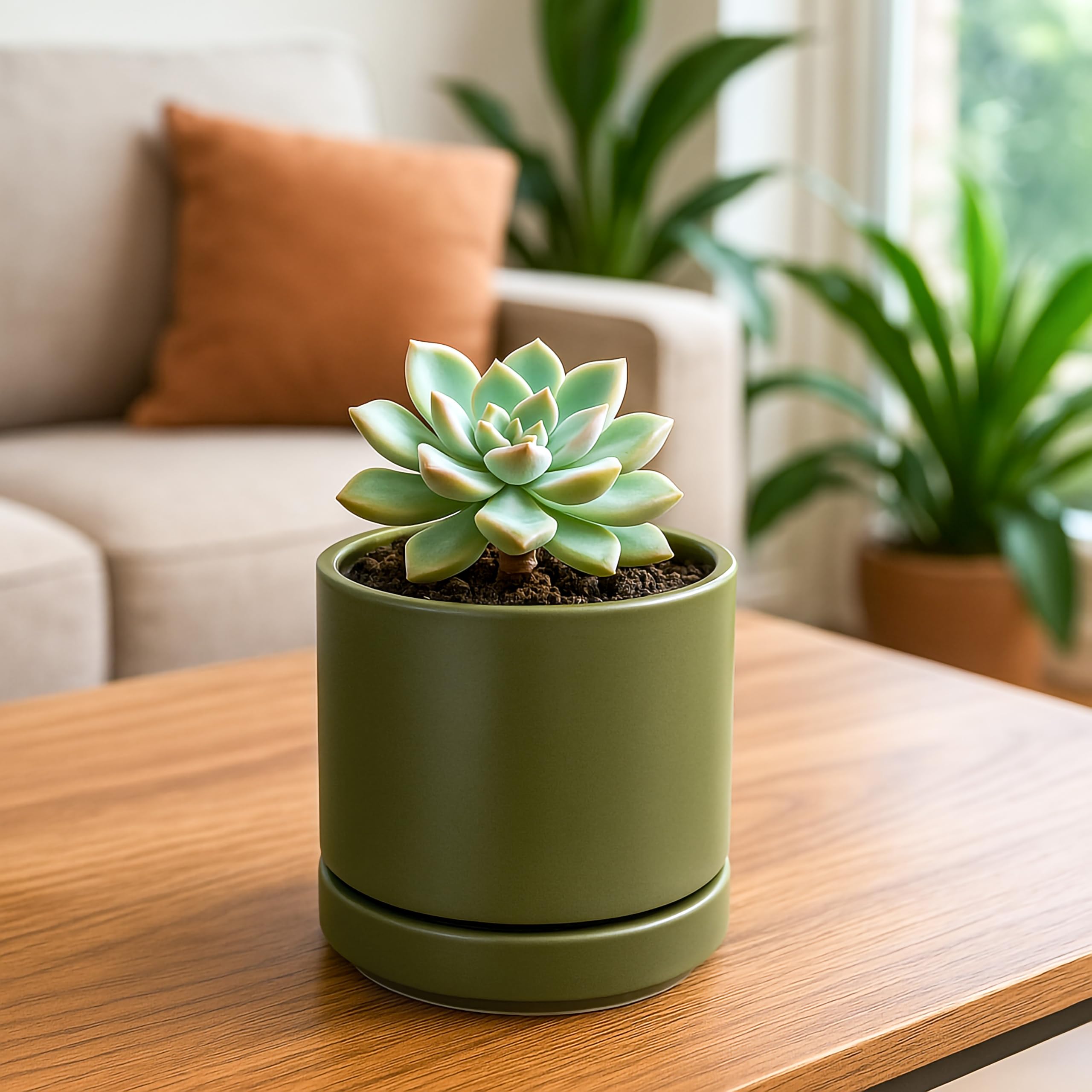 D'vine Dev modern cylindrical planter design suits minimalist decor.