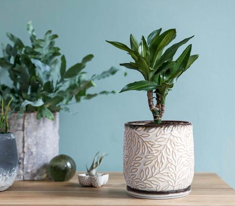 D'vine Dev embossed leaf design complements outdoor decor
