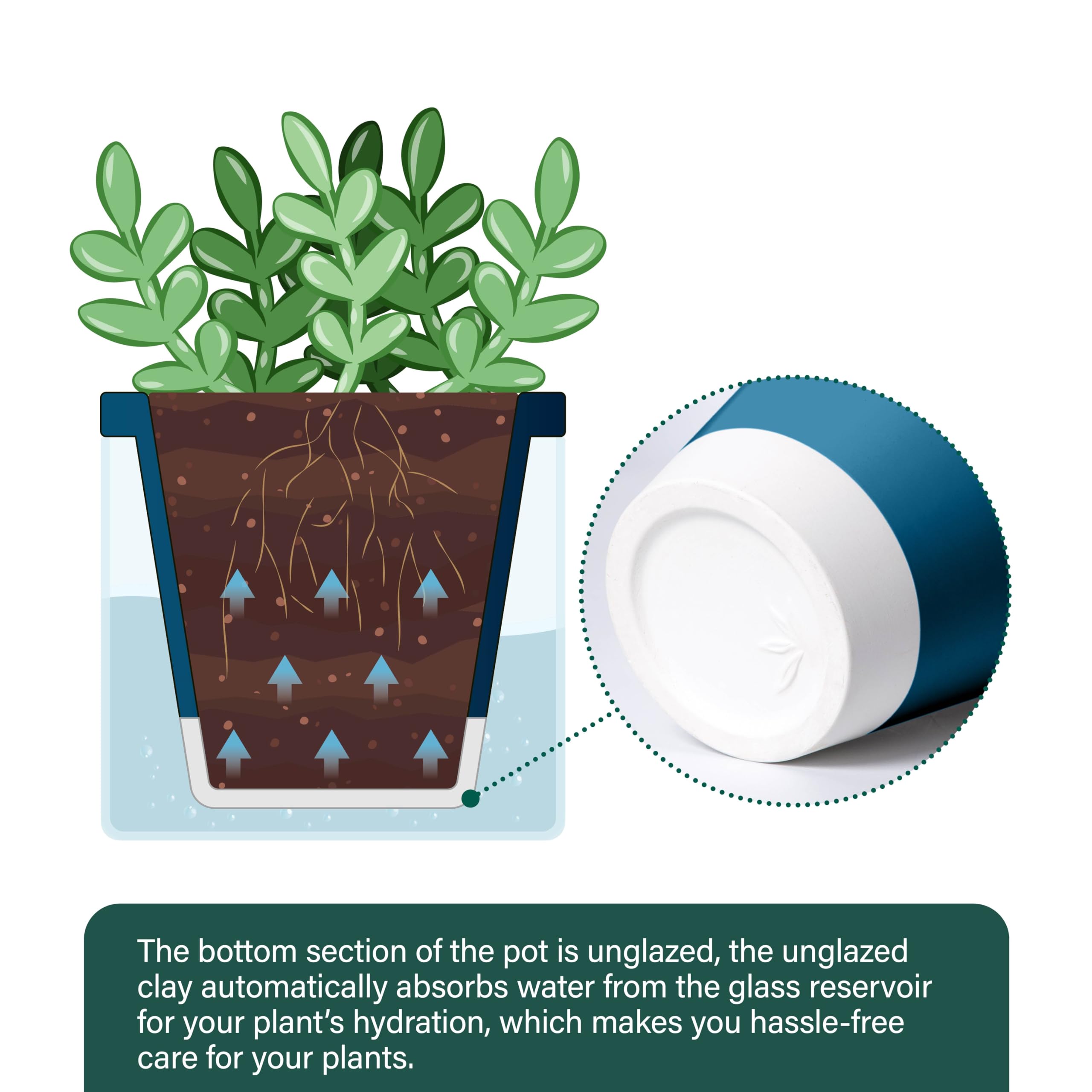 D'vine Dev no-drainage holes keep surfaces clean and free from spills.