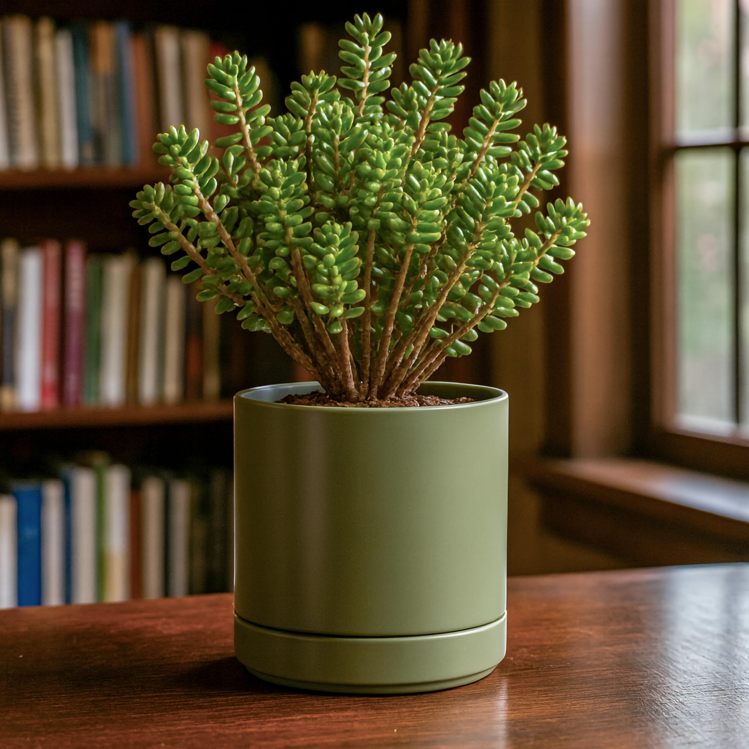 D'vine Dev planter with plant demonstrates indoor greenery styling.