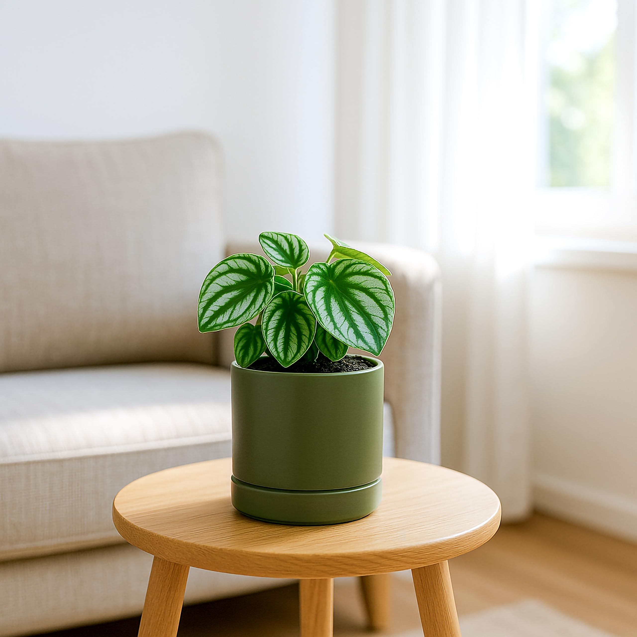 D'vine Dev olive planter with scratch pad protects surfaces.