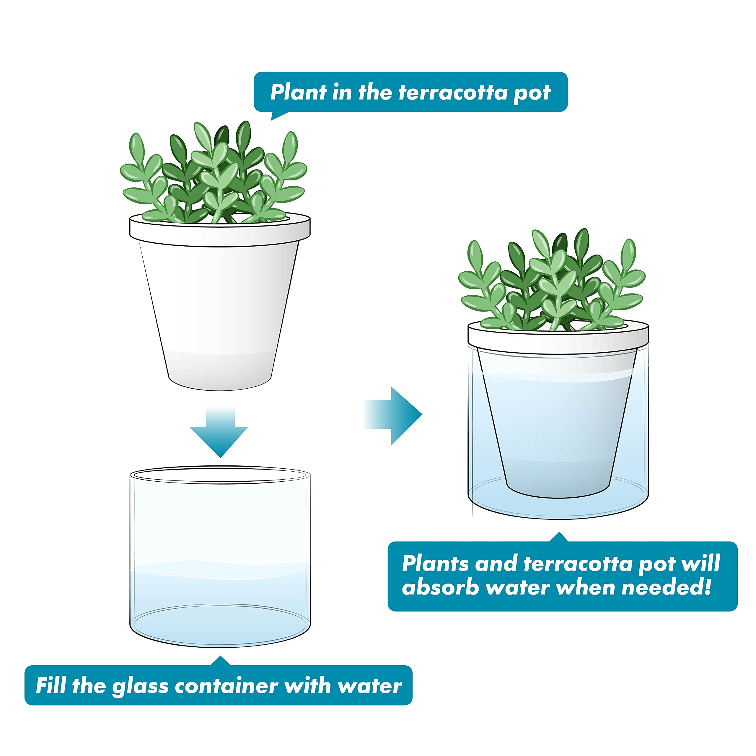 Packaging view with included pot and glass cup.