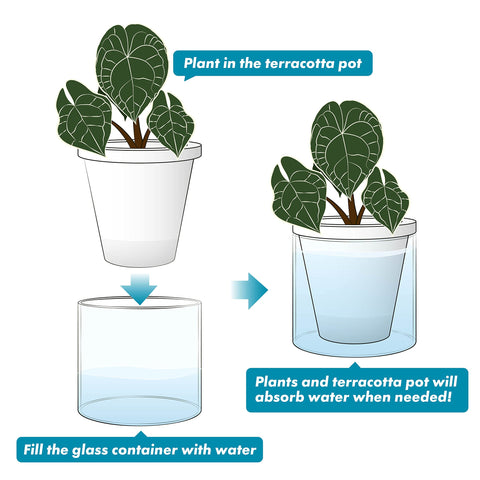 D'vine Dev compact planter fits herbs, aloe, and spider plants.