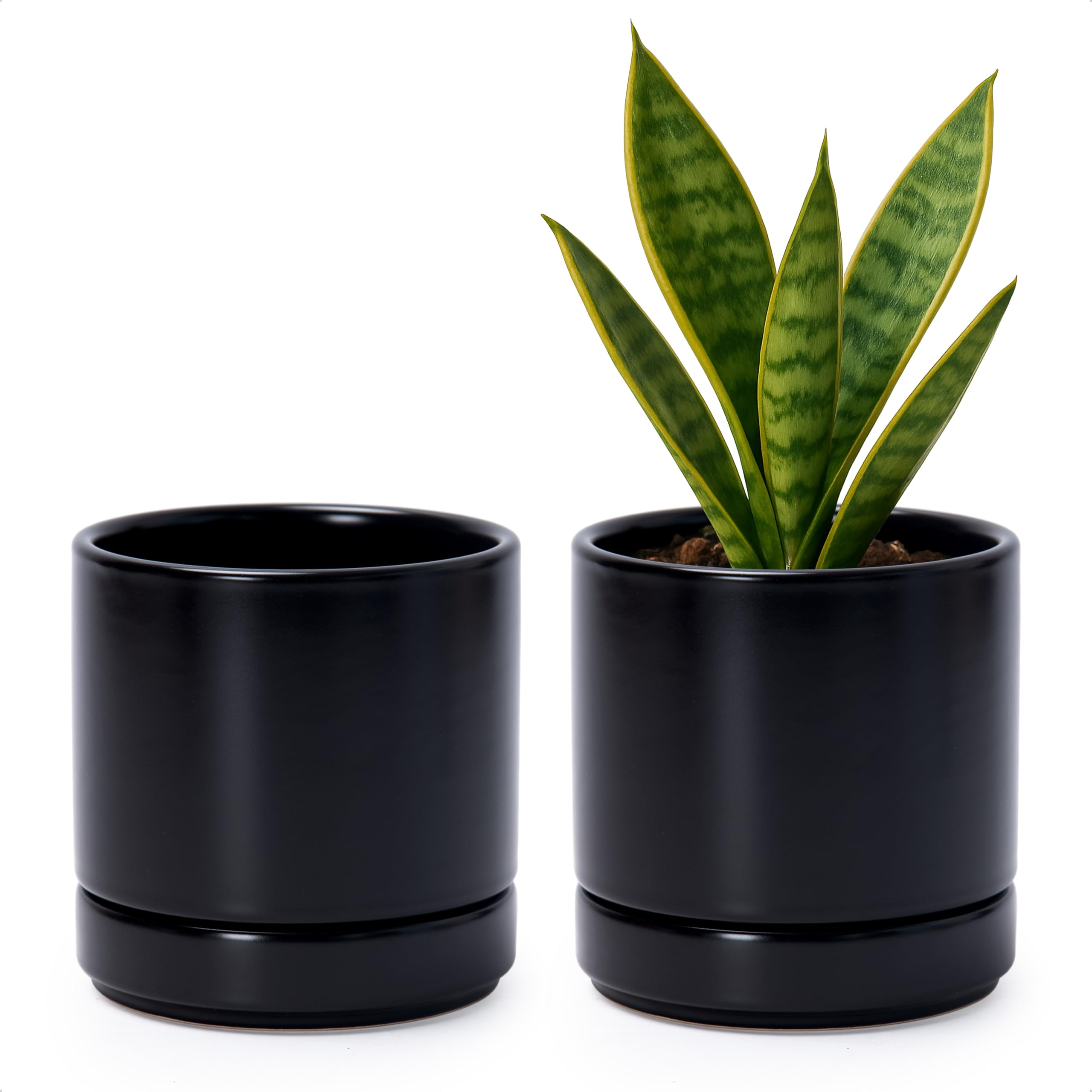 D'vine Dev plant pot 4-7 inch black with drainage hole for healthy roots