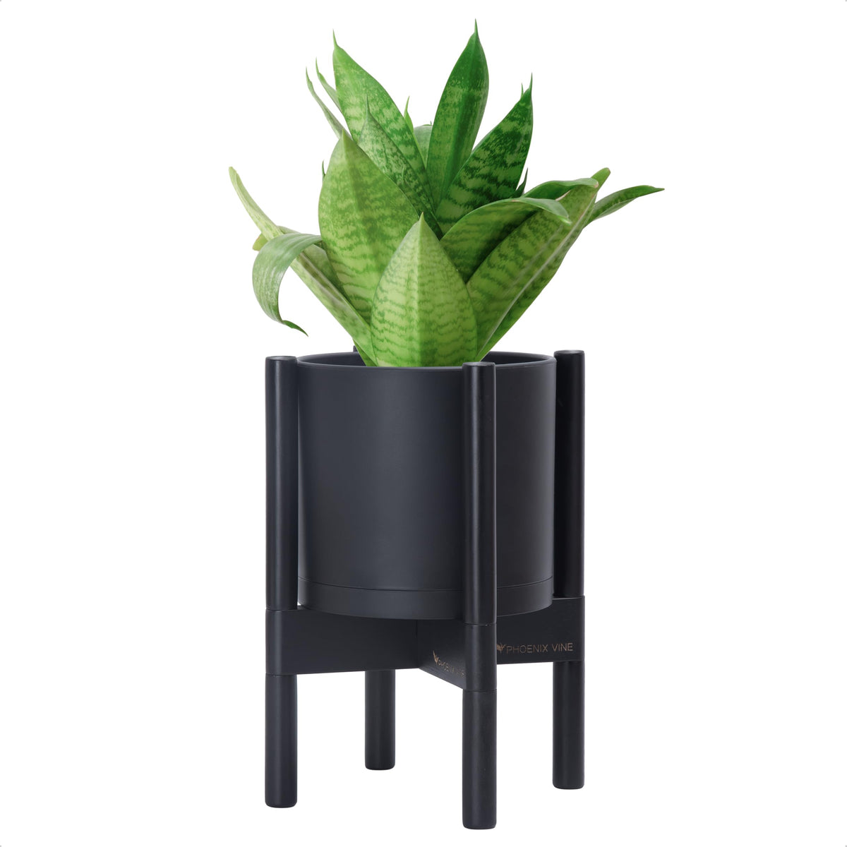 D'vine Dev Planter 8-inch pot with matte finish for indoor greenery.