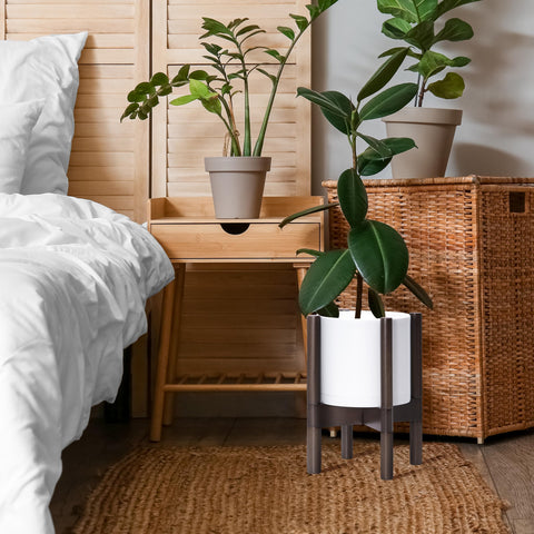 D'vine Dev combined planter set on a wood stand for elevated display