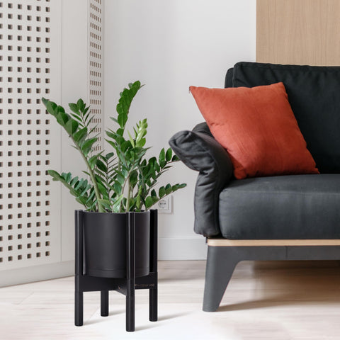 D'vine Dev cylinder design showcases greenery with a modern, space-saving silhouette.