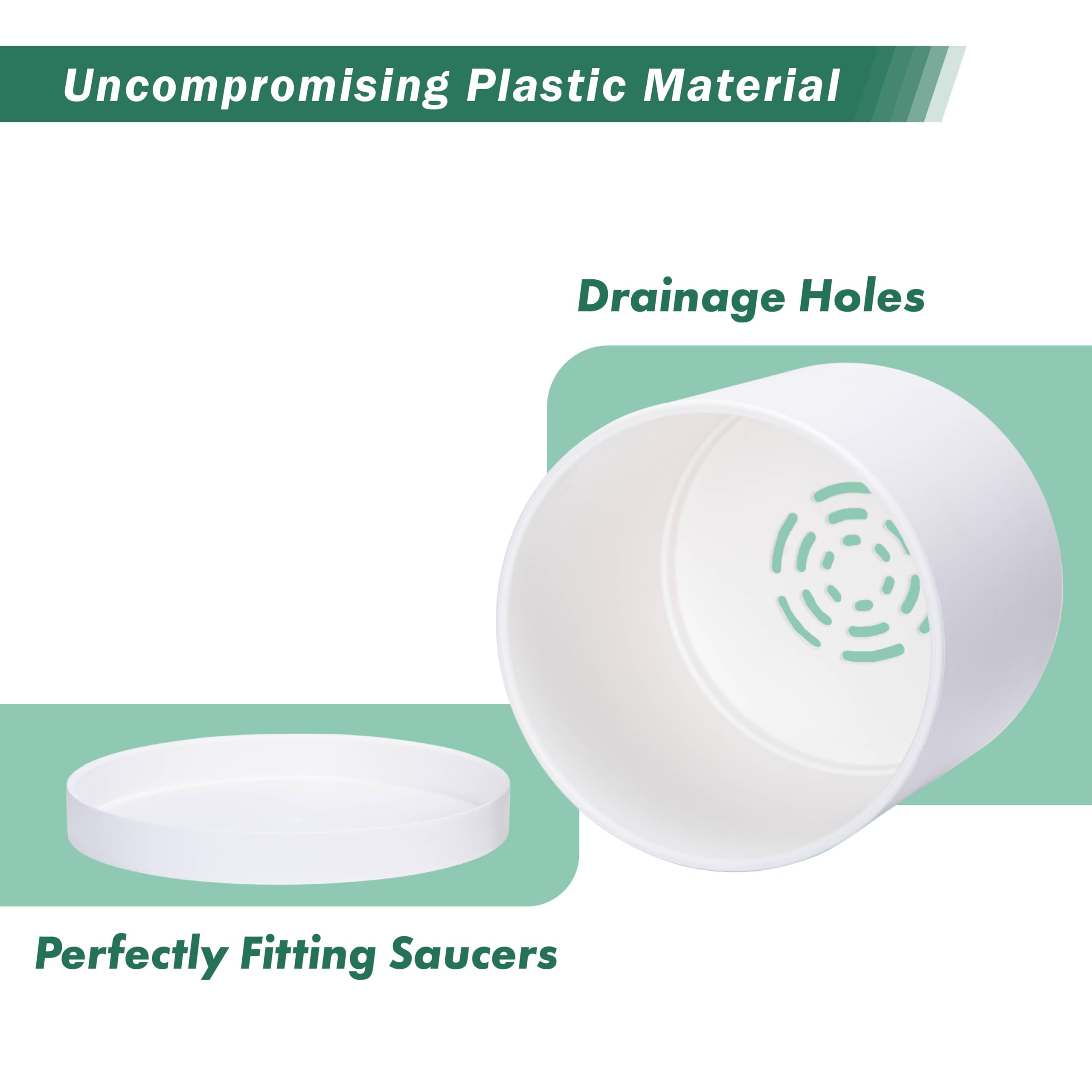D'vine Dev 10-inch size with clear dimensions for planning.