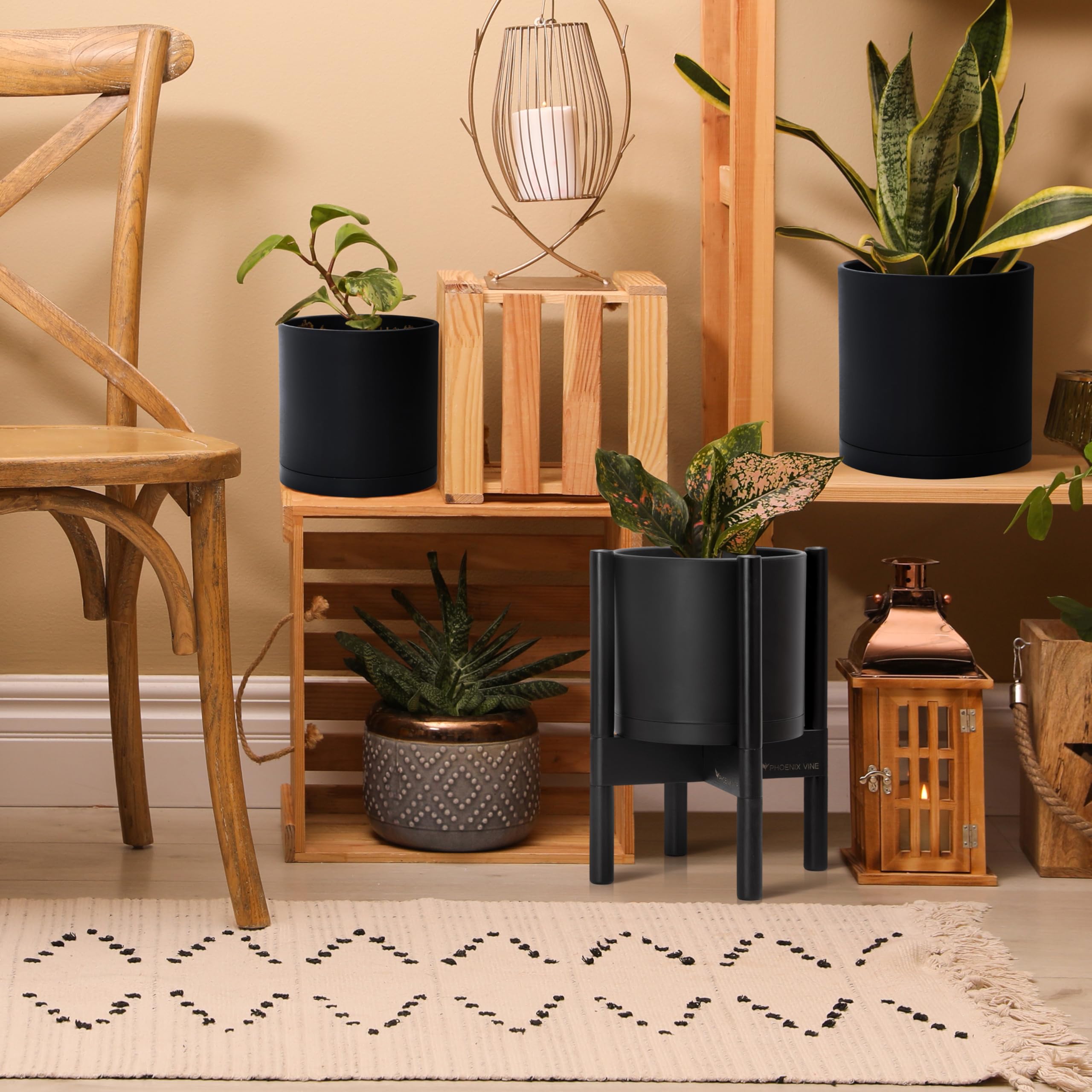 D'vine Dev indoor display setup helps elevate any room without clutter.