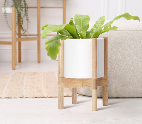Dvine Dev 8-inch planter kit ready for real or faux greenery in any room.