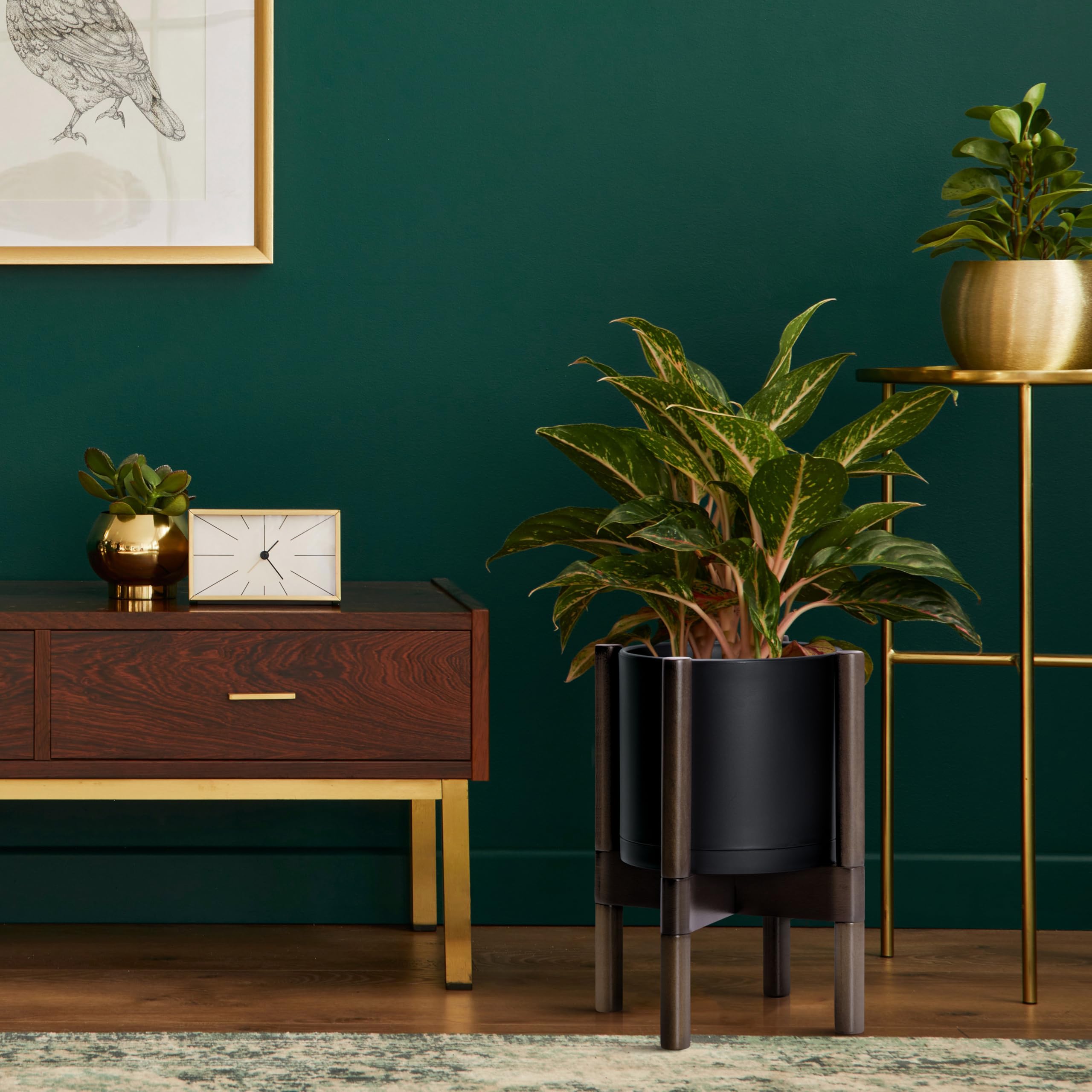 D'vine Dev matte black pot texture emphasizes premium plastic durability