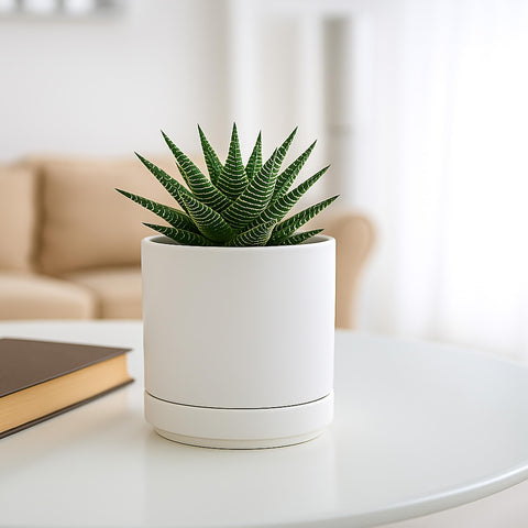 D'vine Dev planter scratch pad protects surfaces during use.
