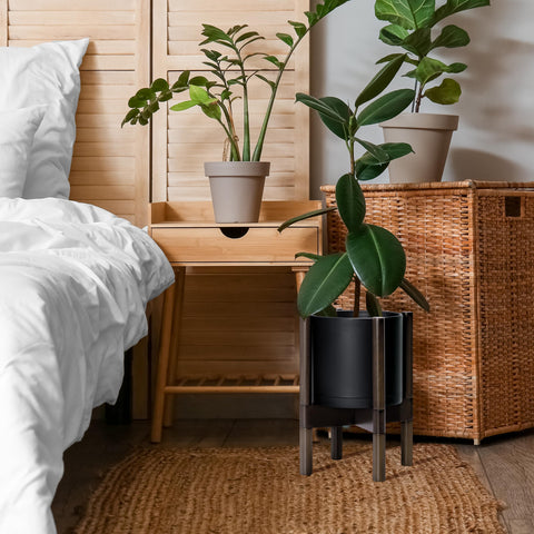D'vine Dev planter set on shelf demonstrates easy styling and space-saving elegance