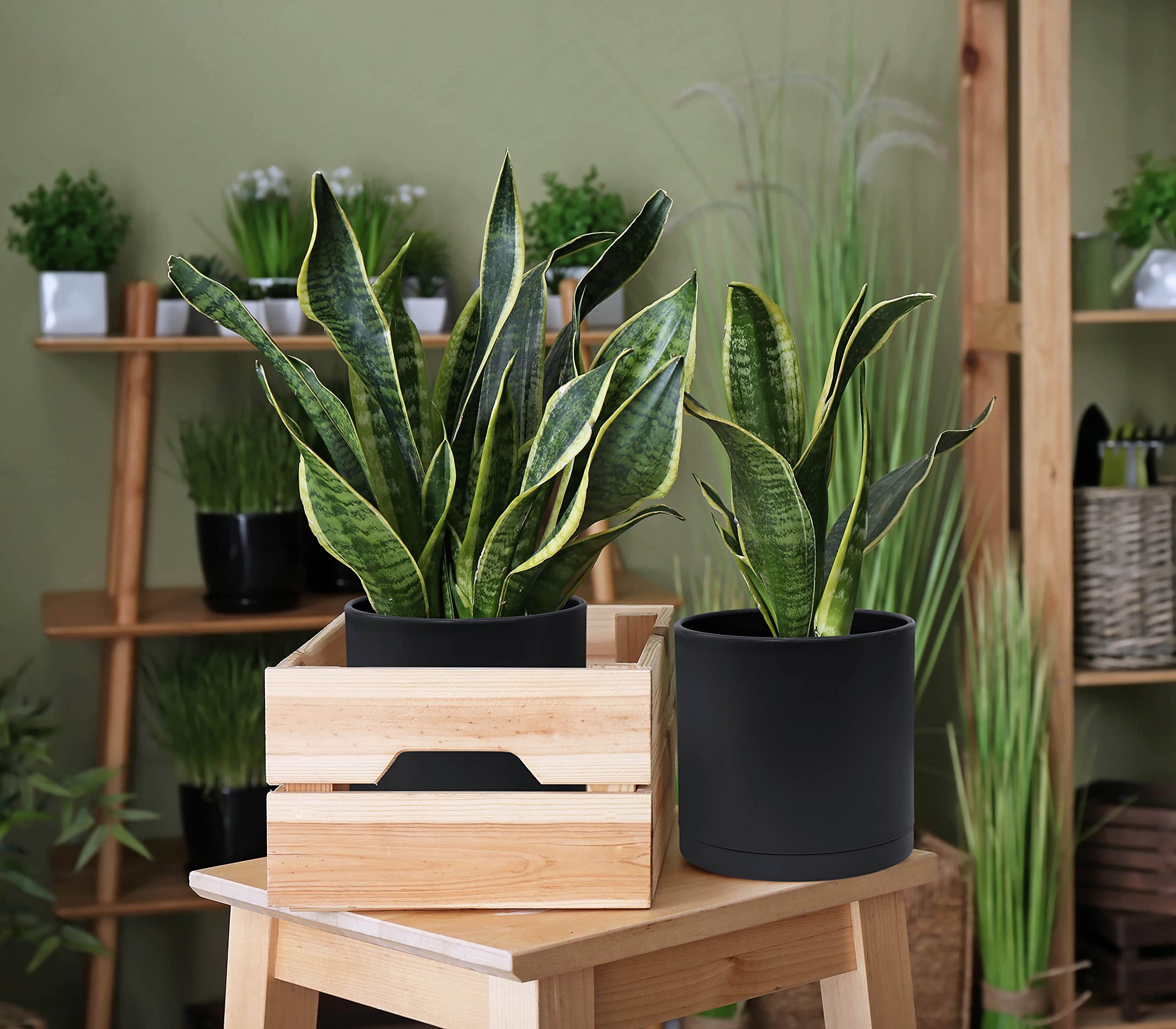 D'vine Dev planter silhouette without plants for styling inspiration