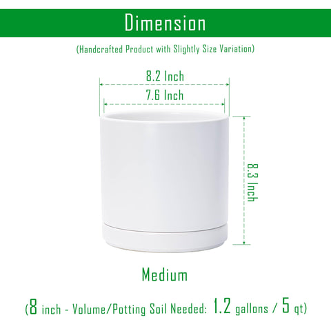 D'vine Dev planter with drainage hole for moisture control
