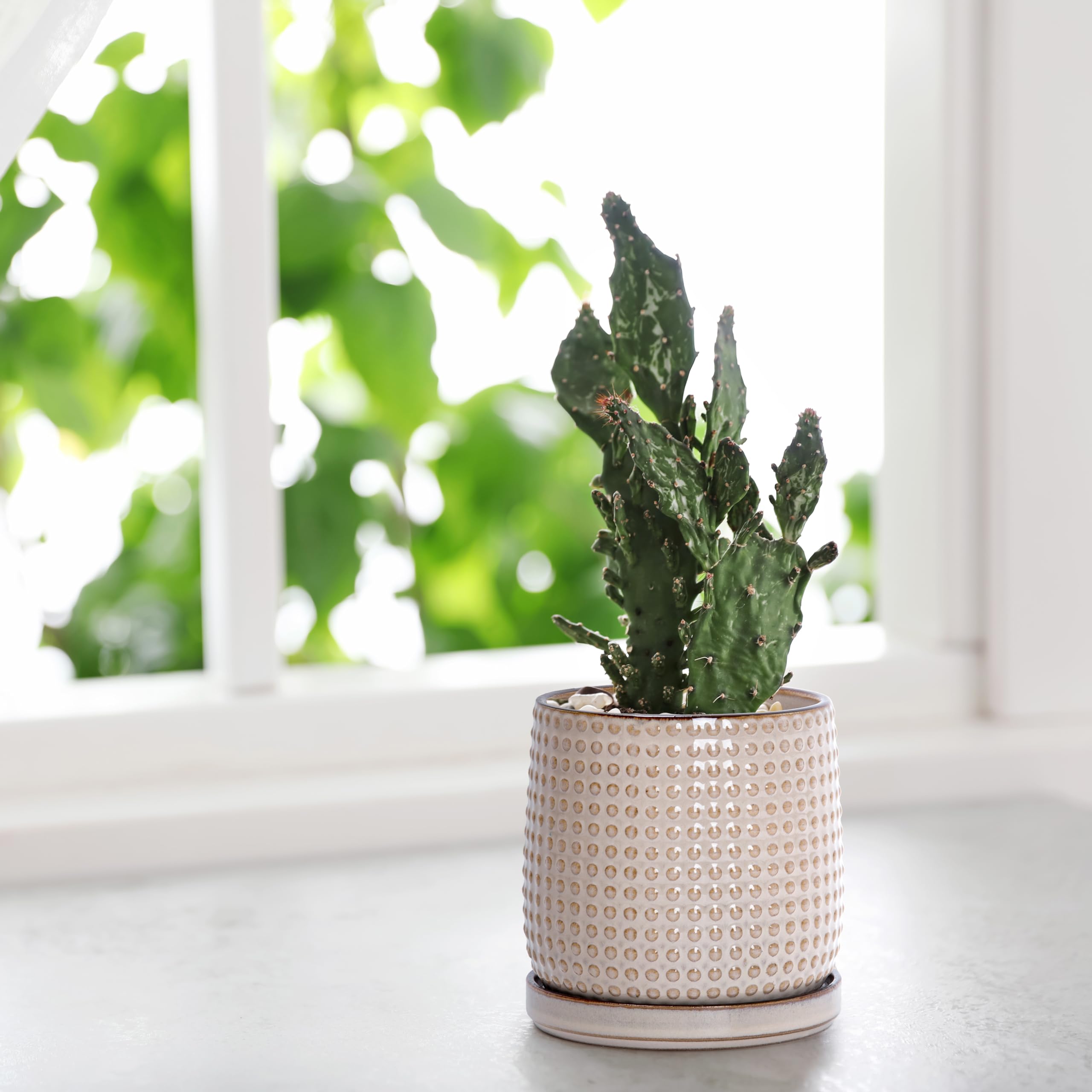 D'vine Dev planter with potted succulent for stylish indoor greenery.