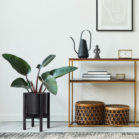 D'vine Dev ebony wood stand complements the pot for a polished living room display.