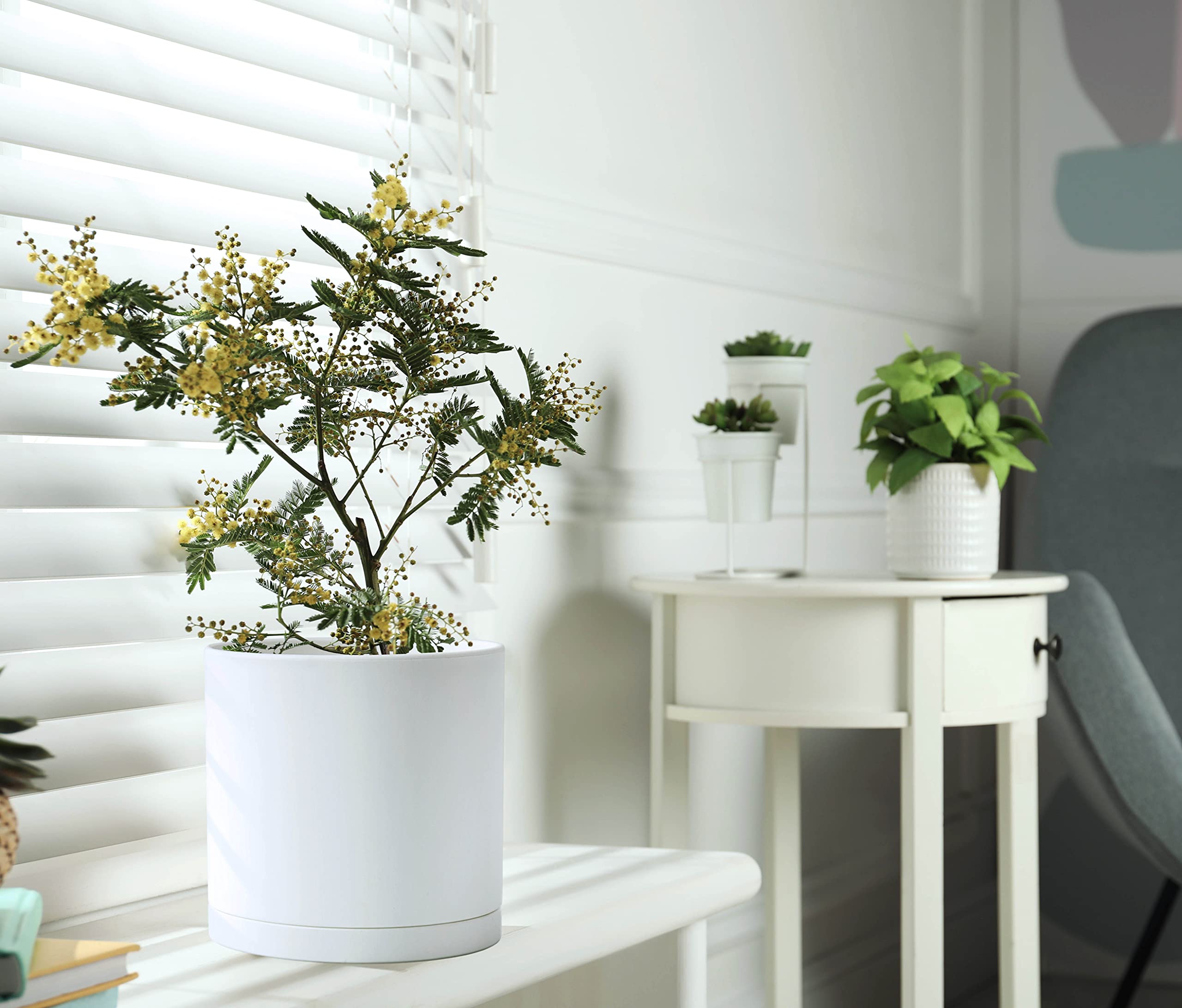 D'vine Dev three-piece set shown with matching saucers for versatile displays.