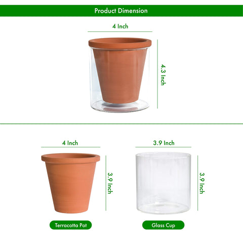 D'vine Dev 4-inch diameter and height guide for compact spaces.