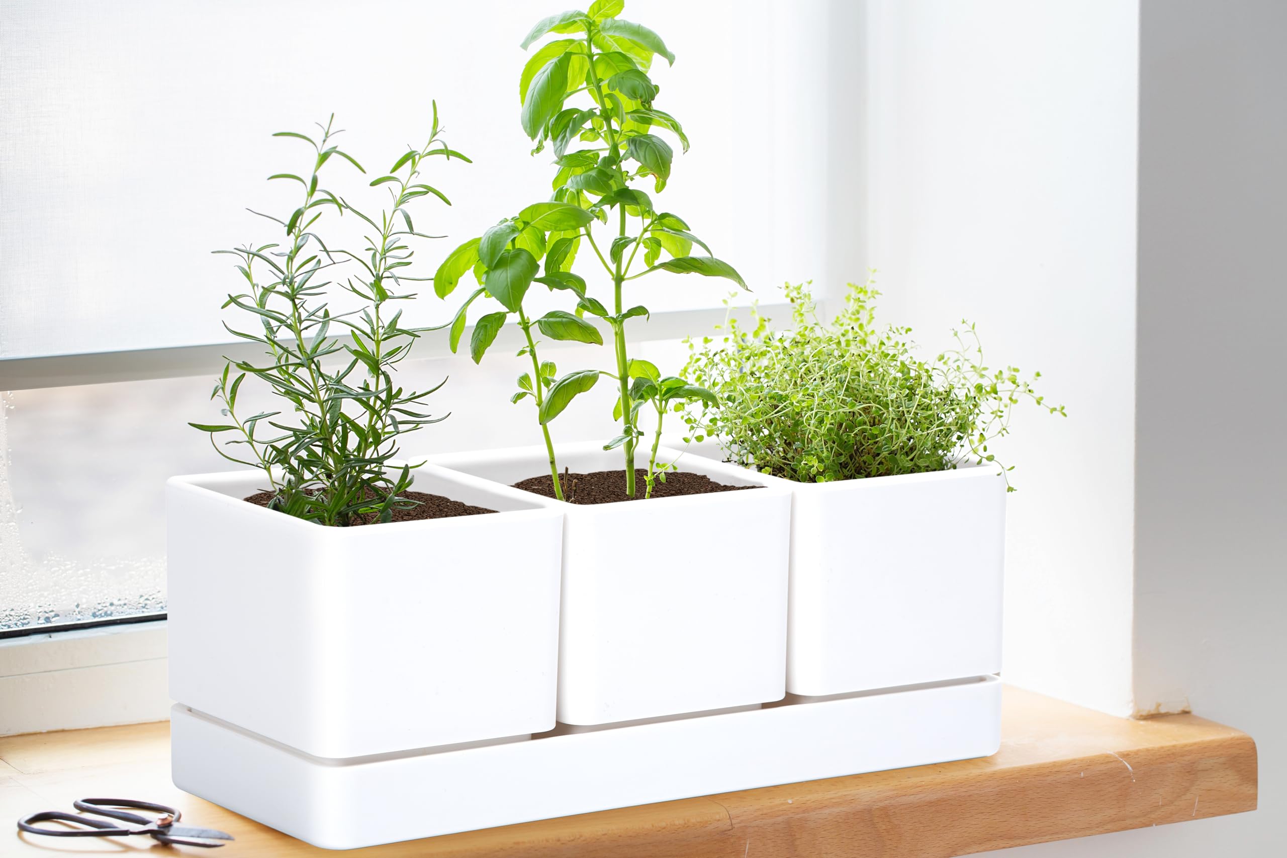 D'vine Dev premium plastic pots with thick walls and a matte finish for durable, lightweight use.