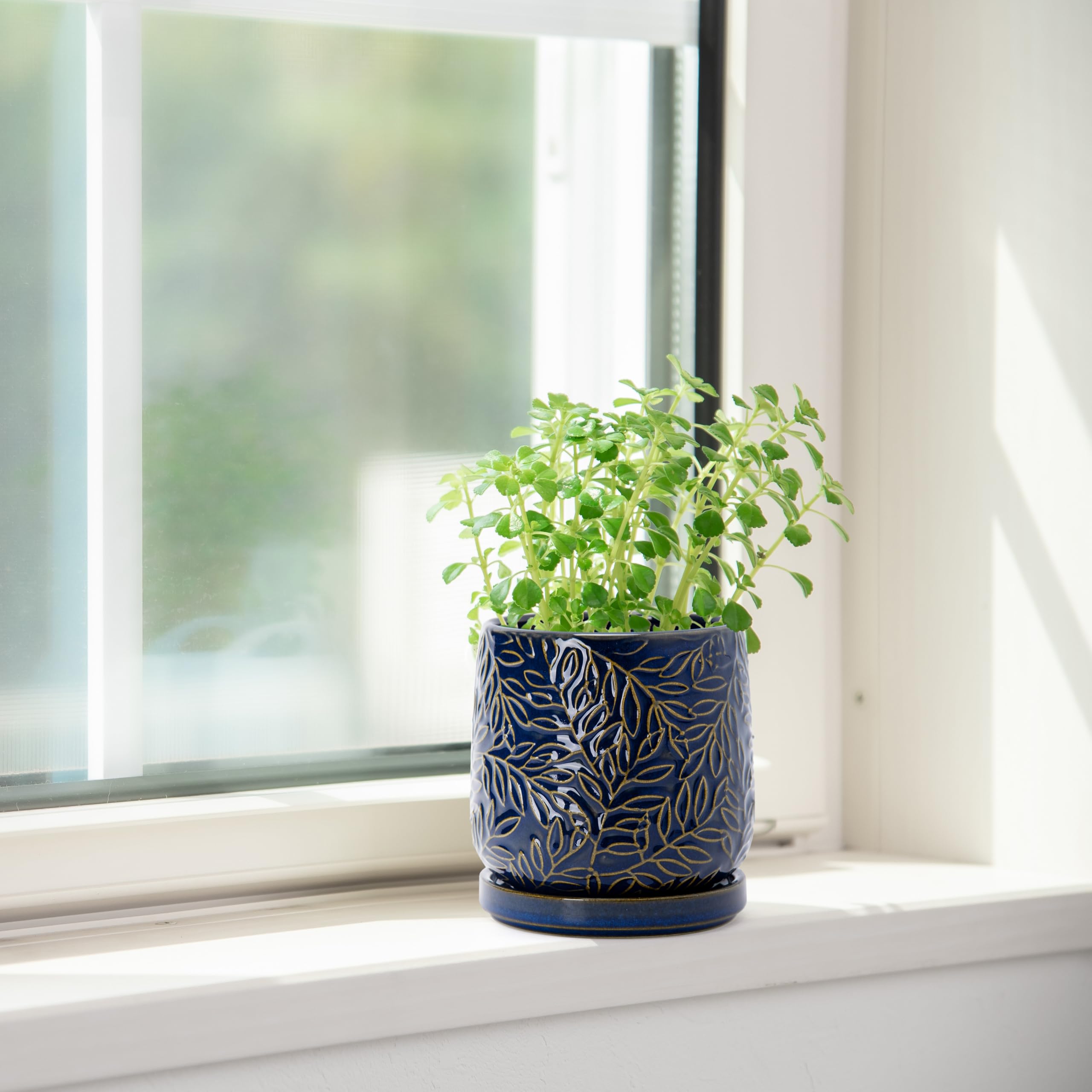 D'vine Dev replacement policy offers hassle-free after-purchase support.
