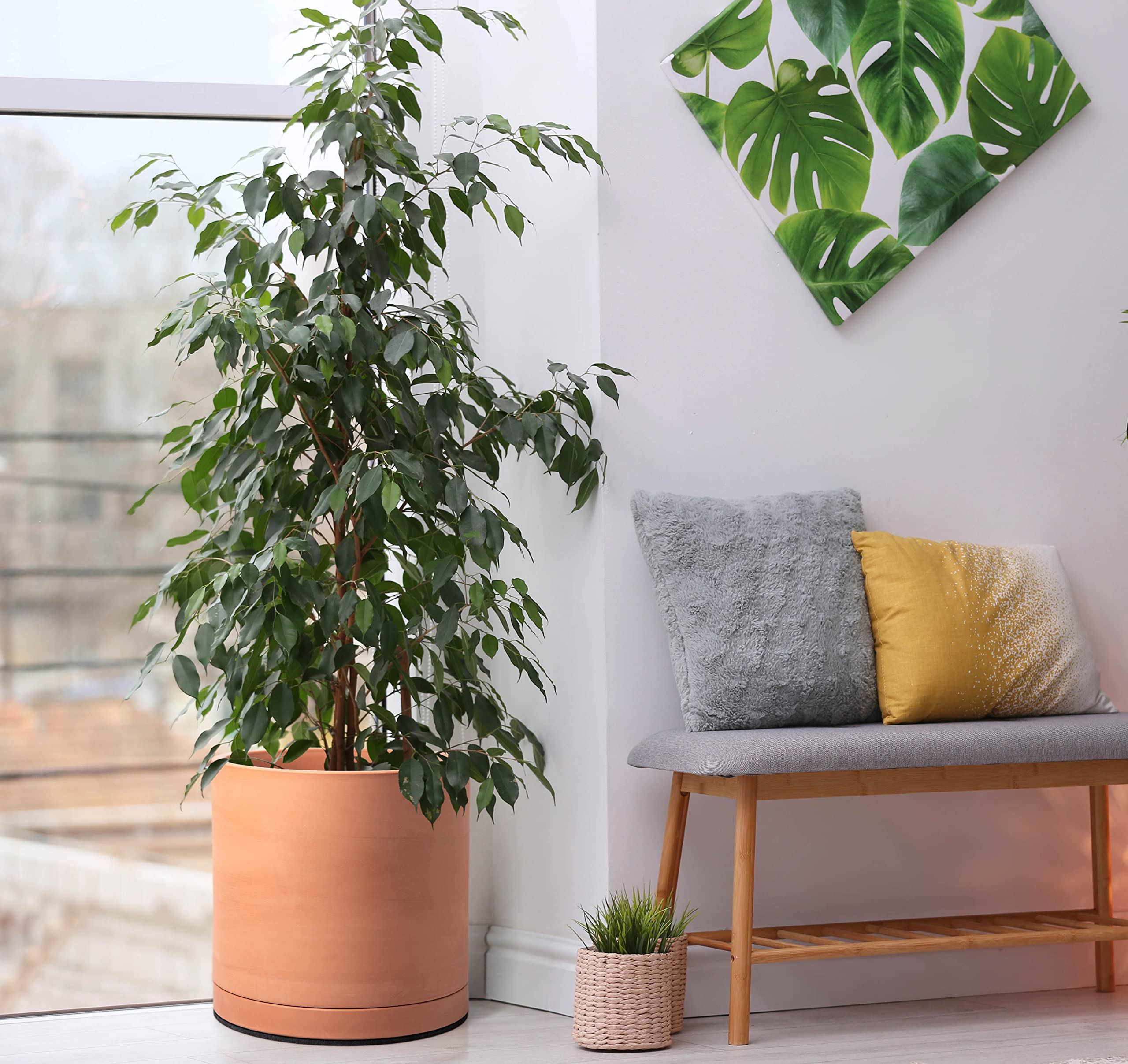D'vine Dev round cylinder design adds minimalist elegance.