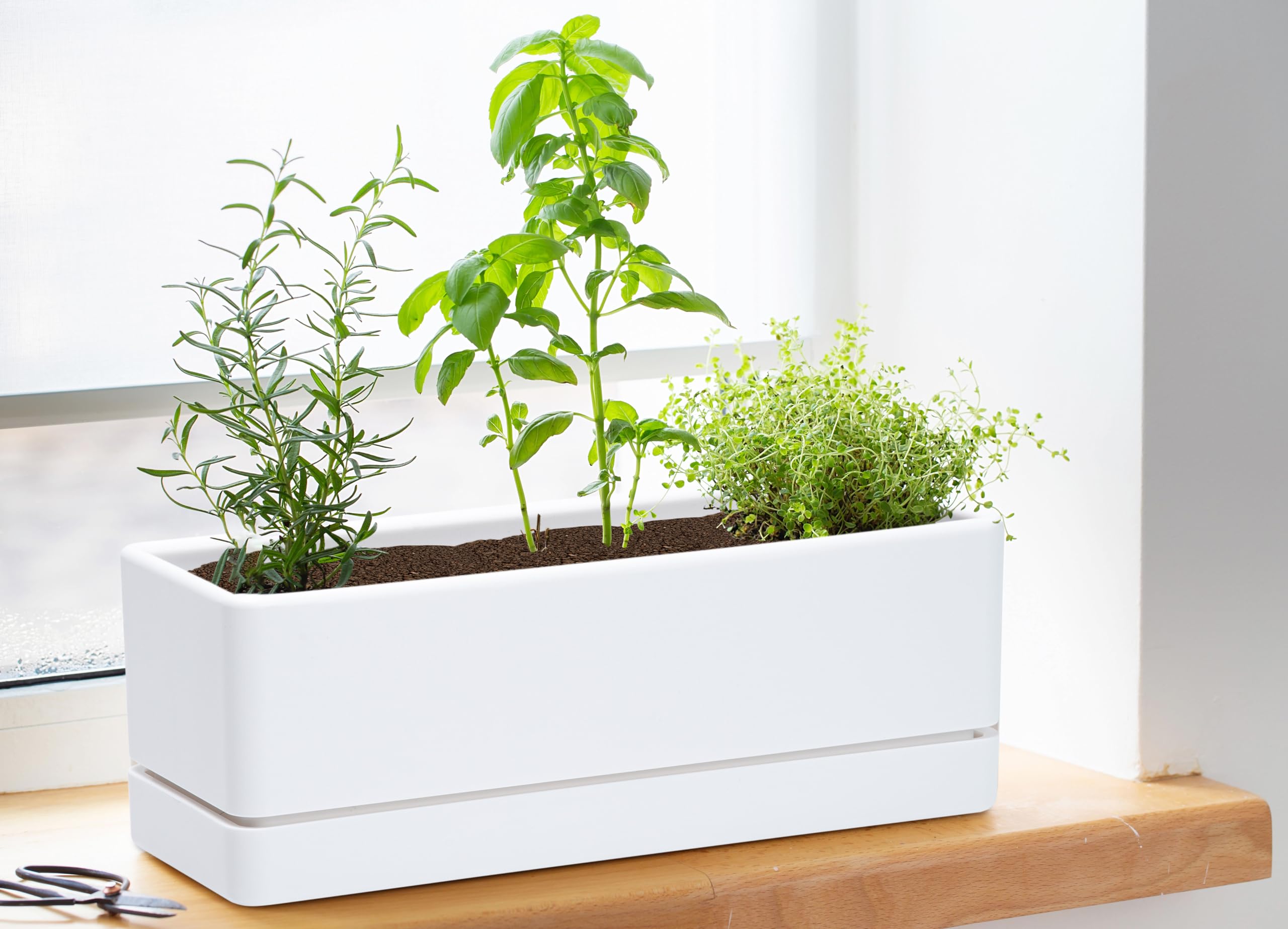 D'vine Dev saucer with detachable fit for clean, spill-free windowsills.