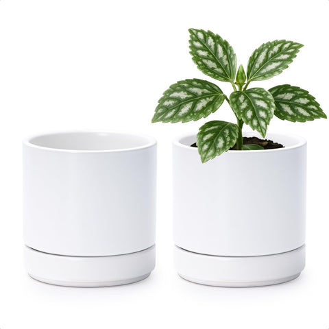 D'vine Dev set of 2 ceramic planters with 4.7-inch diameter for compact spaces.