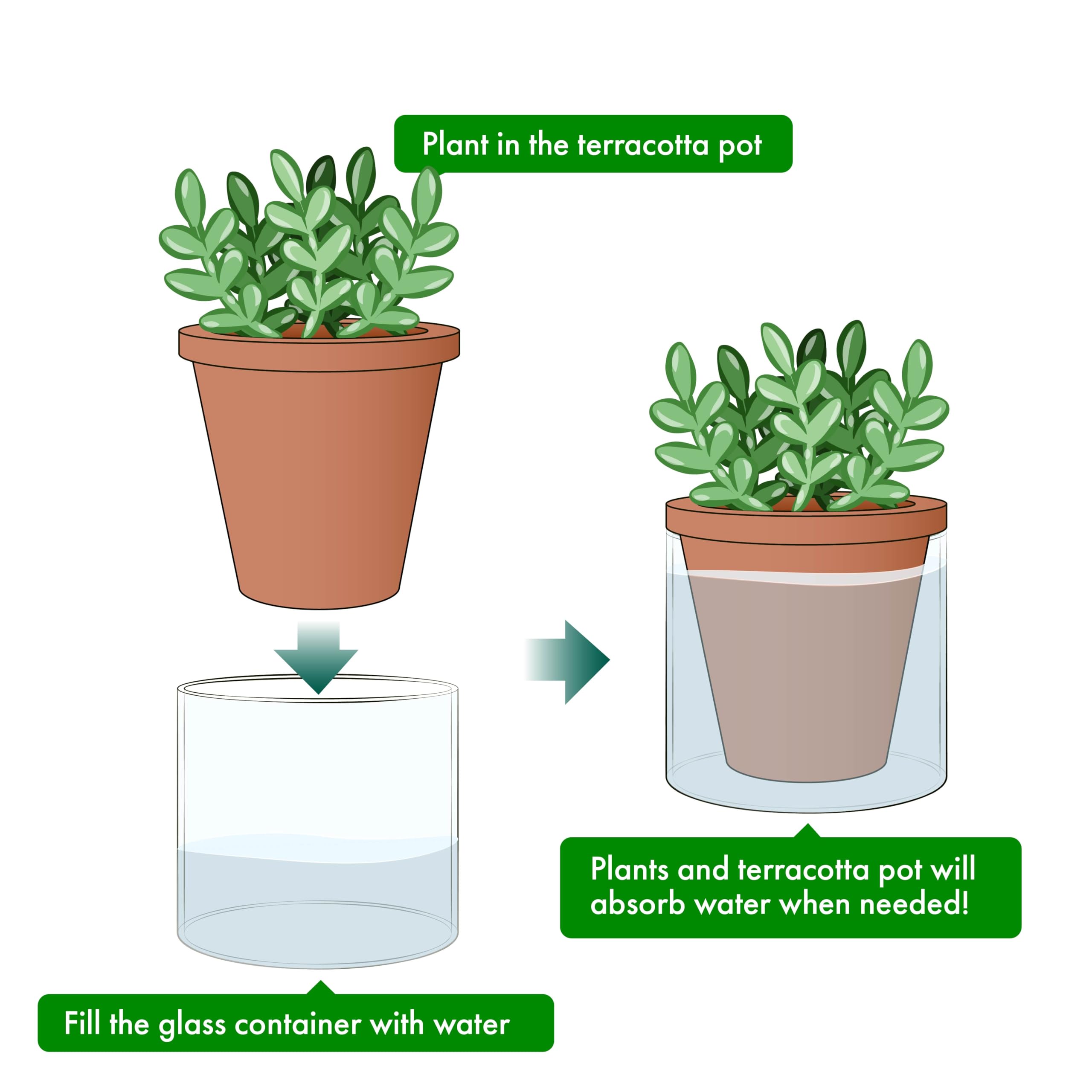 D'vine Dev set of 4 self-watering planters perfect for small plant displays.