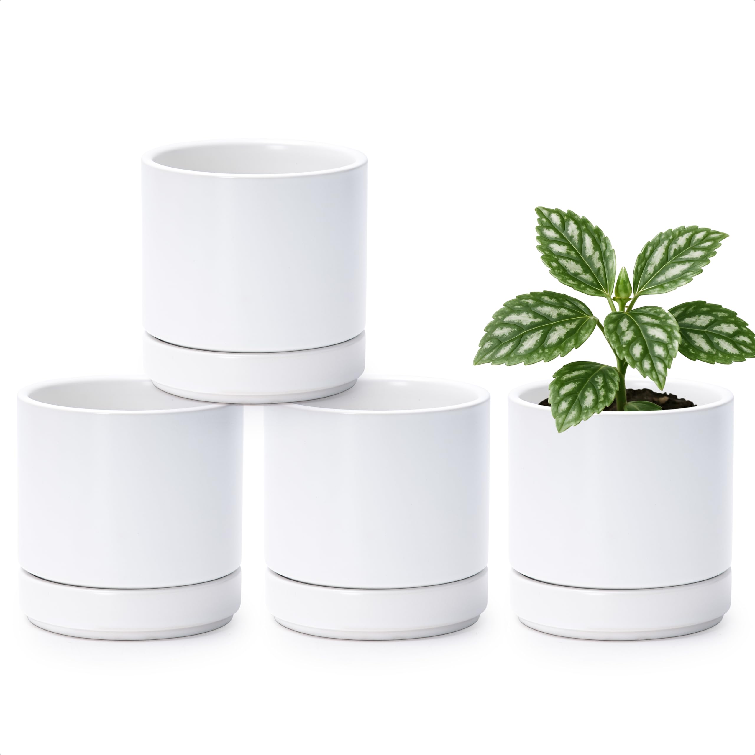 D'vine Dev set of 4 small ceramic pots with drainage, ideal for compact succulent displays
